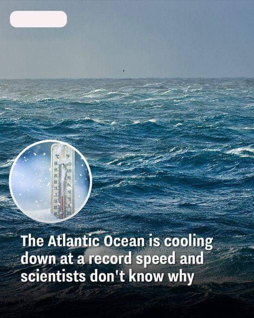 The Atlantic Ocean is cooling down at a record speed and scientists don’t know why