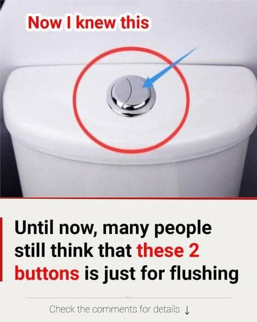 Many people still think that these 2 buttons is just for flushing