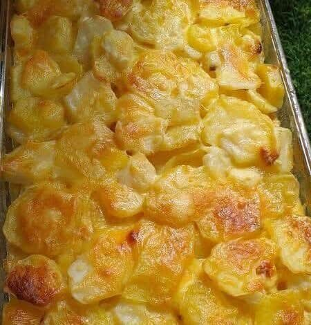 Scalloped Potatoes Recipe